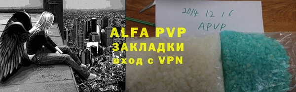 стаф Покачи