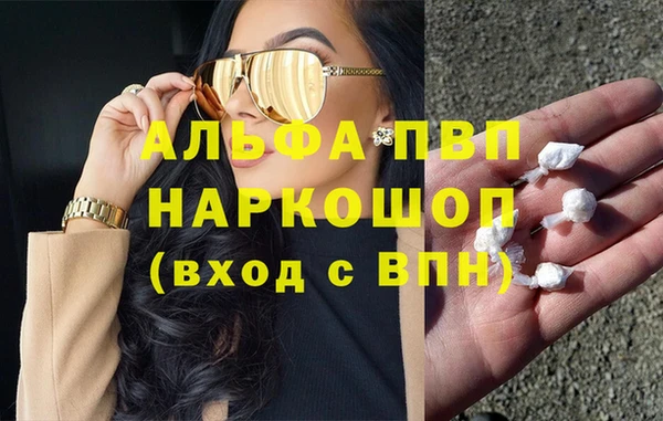 стаф Покачи