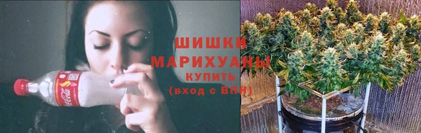 стаф Покачи