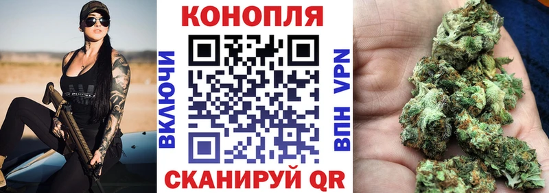 Бошки Шишки план  купить  сайты  Россошь 